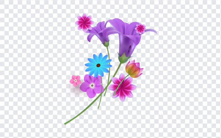 Spring Flowers, Spring, Spring Flowers PNG, Flower PNG, Flowers PNG, Flowers, Flowers Clipart, PNG, PNG Images, Transparent Files, png free, png file,