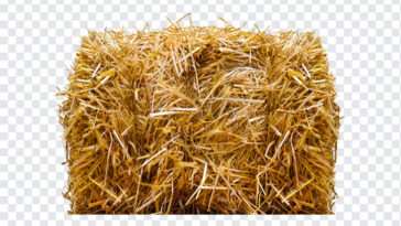 Straw Bale, Straw, Straw Bale PNG, PNG, PNG Images, Transparent Files, png free, png file,