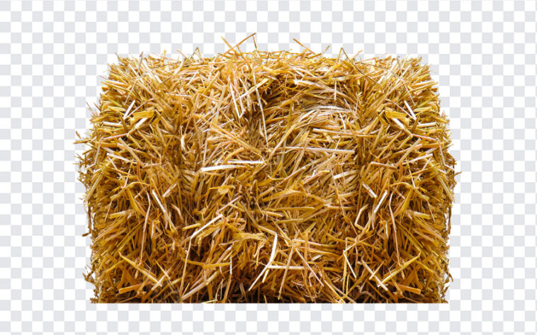 Straw Bale, Straw, Straw Bale PNG, PNG, PNG Images, Transparent Files, png free, png file,