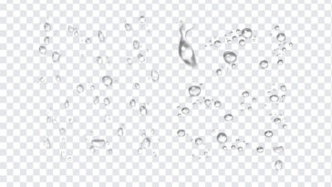 Water Drops, Water, Water Drops PNG, Drops PNG, PNG, PNG Images, Transparent Files, png free, png file,