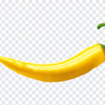 Yellow Chillie, Yellow, Yellow Chillie PNG, Chillie PNG, PNG, PNG Images, Transparent Files, png free, png file,