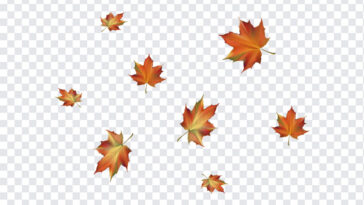 Autumn Leaf, Autumn, Autumn Leaf PNG, Leaf PNG, PNG, PNG Images, Transparent Files, png free, png file, Free PNG, png download,