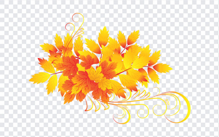 Autumn Leaves Clipart, Autumn Leaves, Autumn Leaves Clipart PNG, Autumn Leaves, Autumn PNG, Autumn Leaves PNG, Autumn, PNG, PNG Images, Transparent Files, png free, png file, Free PNG, png download,