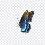 Butterfly GIF, Butterfly, Transparent GIF, Butterfly Transparent Animated GIF, Transparent Animated GIF, Butterfly Transparent GIF, GIF, Animation, Free Download, Stickers, Animated Stickers,
