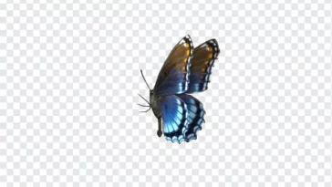 Butterfly GIF, Butterfly, Transparent GIF, Butterfly Transparent Animated GIF, Transparent Animated GIF, Butterfly Transparent GIF, GIF, Animation, Free Download, Stickers, Animated Stickers,