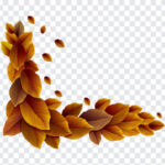 Fall Leaves Corner Decor, Fall Leaves Corner, Fall Leaves Corner Decor PNG, Fall Leaves, Corner Decor PNG, Corner Decor, Leaves Corner Decor, Leaves, PNG, PNG Images, Transparent Files, png free, png file, Free PNG, png download,