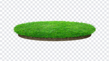 Grass Platform, Grass, Grass Platform PNG, Grass PNG, PNG, PNG Images, Transparent Files, png free, png file, Free PNG, png download,