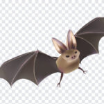 Halloween Bat, Halloween, Halloween Bat PNG, Bat PNG, Bat Clip Art PNG, PNG, PNG Images, Transparent Files, png free, png file, Free PNG, png download,