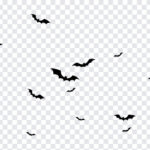 Halloween Bats, Halloween, Halloween Bats PNG, Bats PNG, PNG, PNG Images, Transparent Files, png free, png file, Free PNG, png download,