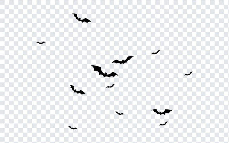 Halloween Bats, Halloween, Halloween Bats PNG, Bats PNG, PNG, PNG Images, Transparent Files, png free, png file, Free PNG, png download,