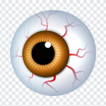 Halloween Eyeball, Halloween, Halloween Eyeball PNG, Eyeball PNG, PNG, PNG Images, Transparent Files, png free, png file, Free PNG, png download,