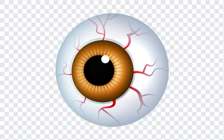 Halloween Eyeball, Halloween, Halloween Eyeball PNG, Eyeball PNG, PNG, PNG Images, Transparent Files, png free, png file, Free PNG, png download,