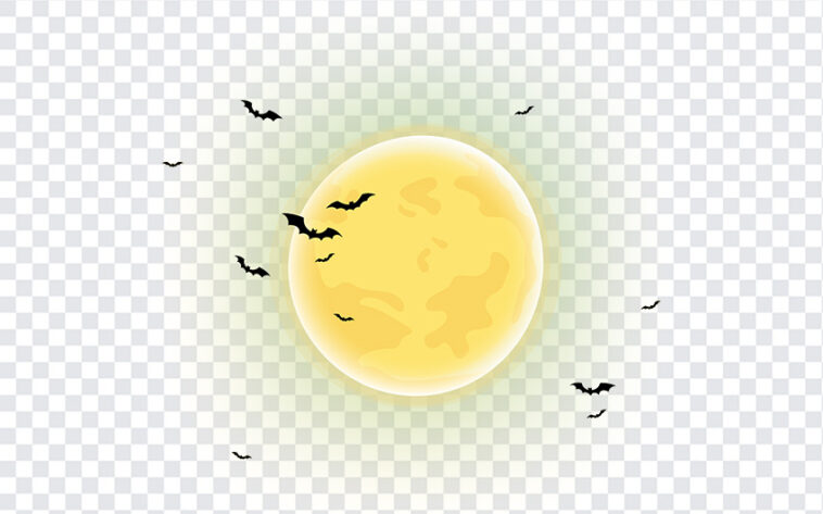 Halloween Moon, Halloween, Halloween Moon PNG, Moon PNG, Bats PNG, PNG, PNG Images, Transparent Files, png free, png file, Free PNG, png download,