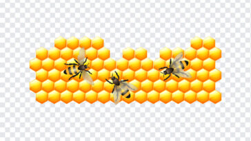 Honey Comb, Honey, Honey Comb PNG, PNG, PNG Images, Transparent Files, png free, png file, Free PNG, png download,