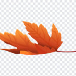 Orange Fallen Leaf, Orange Fallen, Orange Fallen Leaf PNG, Orange, PNG, PNG Images, Transparent Files, png free, png file, Free PNG, png download,