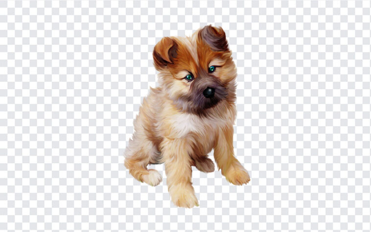 Puppy Clipart, Puppy, Puppy Clipart PNG, Puppy PNG, PNG, PNG Images, Transparent Files, png free, png file, Free PNG, png download,