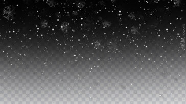 Snow Falling, Snow, Snow Falling PNG, Snow PNG, PNG, PNG Images, Transparent Files, png free, png file, Free PNG, png download,