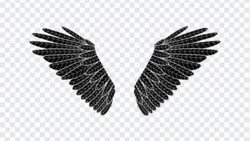 Vector Black Wings, Vector Black, Vector Black Wings PNG, Vector, Black Wings PNG, Black Wings, PNG, PNG Images, Transparent Files, png free, png file, Free PNG, png download,