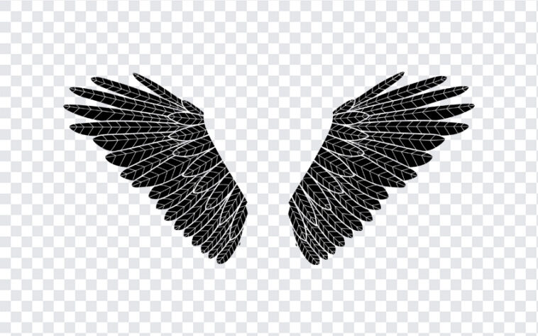 Vector Black Wings, Vector Black, Vector Black Wings PNG, Vector, Black Wings PNG, Black Wings, PNG, PNG Images, Transparent Files, png free, png file, Free PNG, png download,