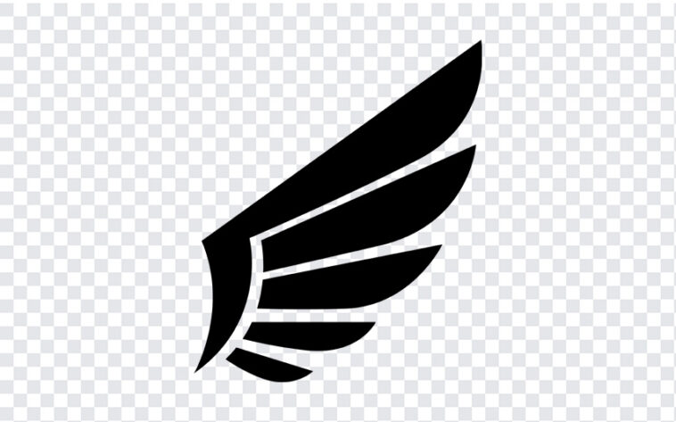 Wing, Wing PNG, PNG, PNG Images, Transparent Files, png free, png file, Free PNG, png download,