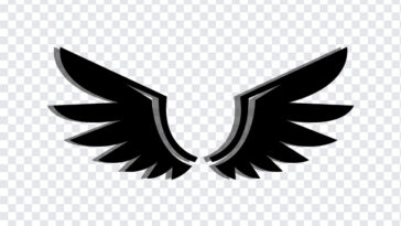 Black Wings, Black, Black Wings PNG, Wings PNG, PNG, PNG Images, Transparent Files, png free, png file, Free PNG, png download,