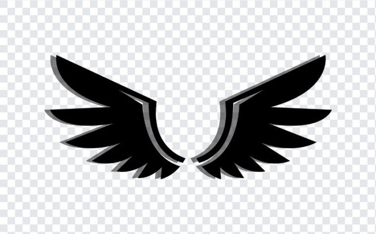 Black Wings, Black, Black Wings PNG, Wings PNG, PNG, PNG Images, Transparent Files, png free, png file, Free PNG, png download,
