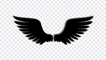 Dark Angel Wings, Dark Angel, Dark Angel Wings PNG, Dark, Wings PNG, PNG, PNG Images, Transparent Files, png free, png file, Free PNG, png download,