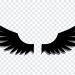 Fallen Angel Wings, Fallen Angel, Fallen Angel Wings PNG, Fallen, Angel Wings PNG, Wings PNG, PNG, PNG Images, Transparent Files, png free, png file, Free PNG, png download,