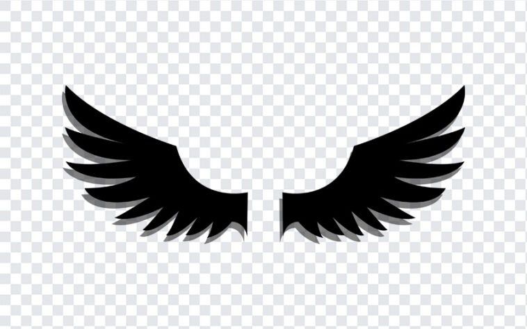 Fallen Angel Wings, Fallen Angel, Fallen Angel Wings PNG, Fallen, Angel Wings PNG, Wings PNG, PNG, PNG Images, Transparent Files, png free, png file, Free PNG, png download,