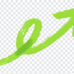 Green Knot Arrow, Green Knot, Green Knot Arrow PNG, Green, PNG, PNG Images, Transparent Files, png free, png file, Free PNG, png download,