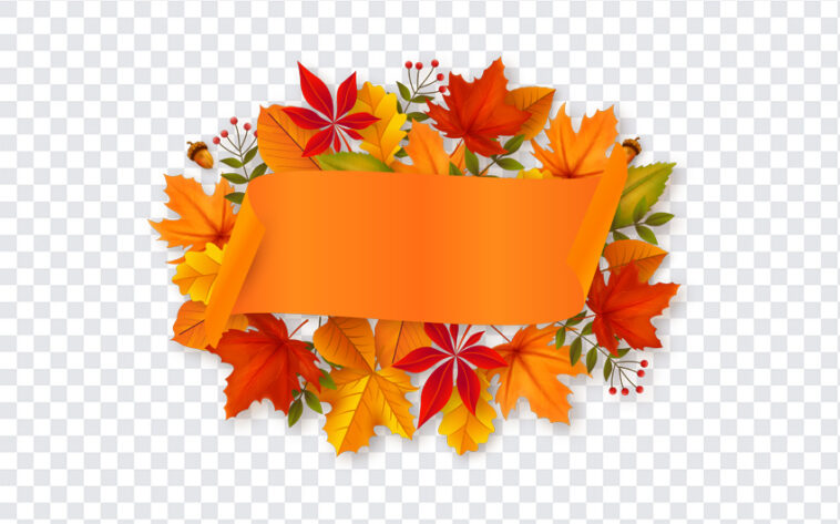 Thanksgiving, Thanksgiving PNG, PNG, PNG Images, Transparent Files, png free, png file, Free PNG, png download,