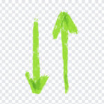 Up and Down Arrows, Up and Down, Up and Down Arrows PNG, Arrows PNG, PNG, PNG Images, Transparent Files, png free, png file, Free PNG, png download,