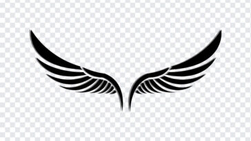 Wing Illustration, Wing, Wing Illustration PNG, Wings PNG, PNG, PNG Images, Transparent Files, png free, png file, Free PNG, png download,