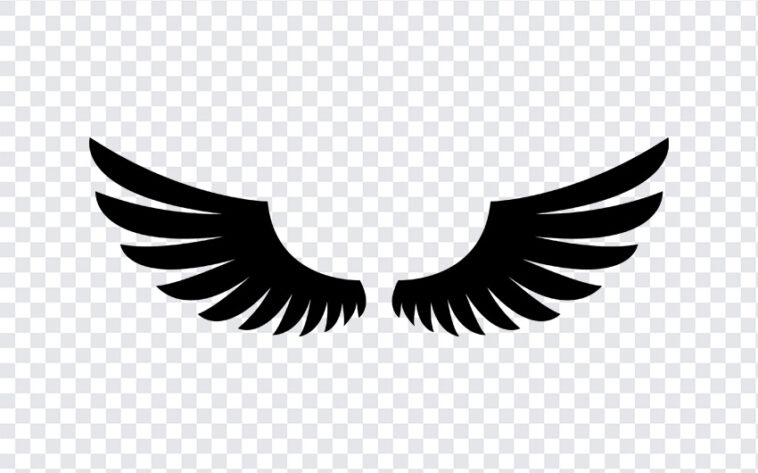 Wings Illustration, Wings, Wings Illustration PNG, Illustration PNG, Wings PNG, PNG, PNG Images, Transparent Files, png free, png file, Free PNG, png download,
