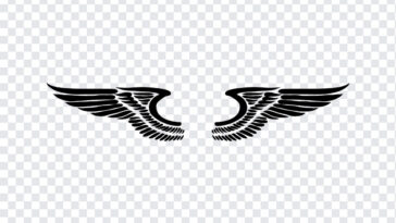 Wings, Wings PNG, PNG, PNG Images, Transparent Files, png free, png file, Free PNG, png download,
