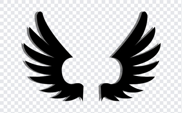 Wings, Wings PNG, PNG, PNG Images, Transparent Files, png free, png file, Free PNG, png download,