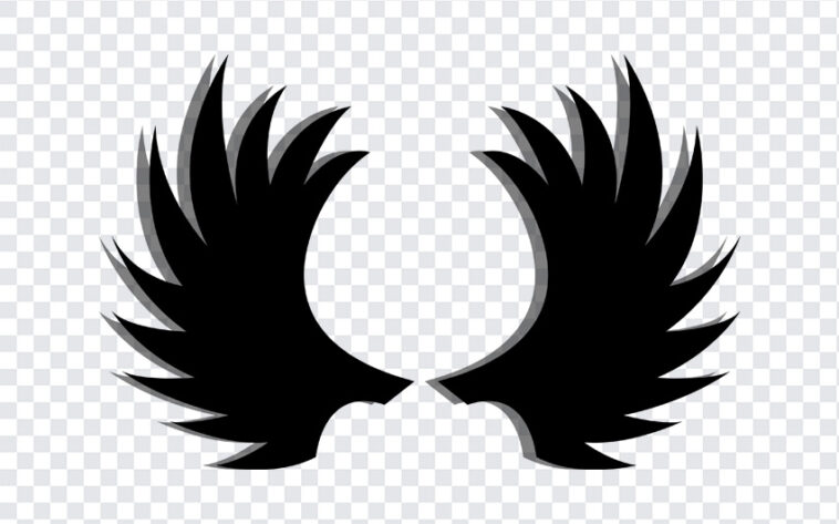 Black Wings PNG Transparent Images Free Download