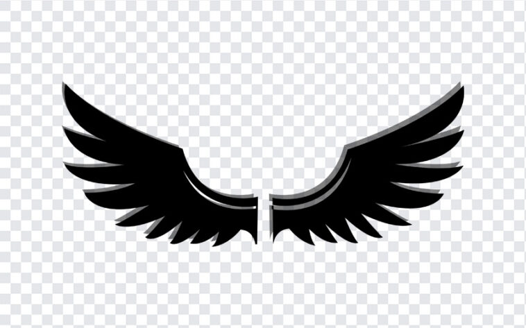 Wings silhouette, Wings, Wings silhouette PNG, silhouette PNG, Wings PNG, PNG, PNG Images, Transparent Files, png free, png file, Free PNG, png download,