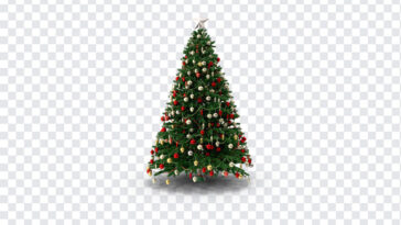 3D Christmas Tree, 3D Christmas, 3D Christmas Tree PNG, Christmas Tree PNG, 3D, Christmas PNG, PNG, PNG Images, Transparent Files, png free, png file, Free PNG, png download,