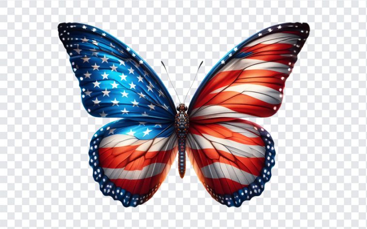 American Flag Butterfly, American Flag, American Flag Butterfly PNG, American, Butterfly PNG, USA Flag, American Butterfly PNG, PNG, PNG Images, Transparent Files, png free, png file, Free PNG, png download,