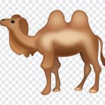 Camel Emoji, Camel, Camel Emoji PNG, iOS Emoji, iphone emoji, Emoji PNG, iOS Emoji PNG, Apple Emoji, Apple Emoji PNG, PNG, PNG Images, Transparent Files, png free, png file, Free PNG, png download,