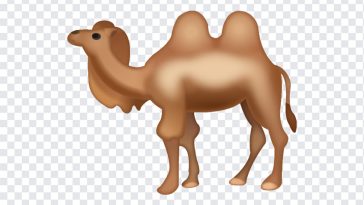 Camel Emoji, Camel, Camel Emoji PNG, iOS Emoji, iphone emoji, Emoji PNG, iOS Emoji PNG, Apple Emoji, Apple Emoji PNG, PNG, PNG Images, Transparent Files, png free, png file, Free PNG, png download,