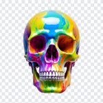 Colorful Skull, Colorful, Colorful Skull PNG, Skull PNG, PNG, PNG Images, Transparent Files, png free, png file, Free PNG, png download,