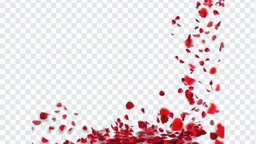 Falling Petals, Falling, Falling Petals PNG, Petals PNG, Rose Petals, Flowers, Flowers PNG, Flower Petals, Red Color, PNG, PNG Images, Transparent Files, png free, png file, Free PNG, png download,