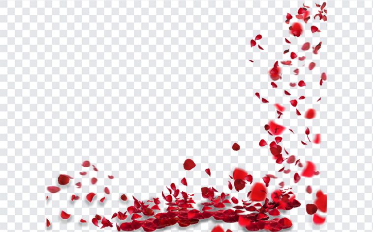 Falling Petals, Falling, Falling Petals PNG, Petals PNG, Rose Petals, Flowers, Flowers PNG, Flower Petals, Red Color, PNG, PNG Images, Transparent Files, png free, png file, Free PNG, png download,