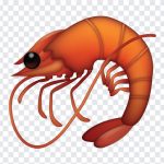 Shrimp Emoji, Shrimp, Shrimp Emoji PNG, iOS Emoji, iphone emoji, Emoji PNG, iOS Emoji PNG, Apple Emoji, Apple Emoji PNG, PNG, PNG Images, Transparent Files, png free, png file, Free PNG, png download,