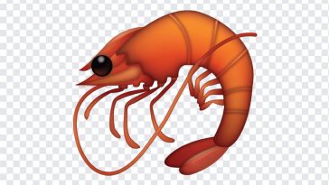 Shrimp Emoji, Shrimp, Shrimp Emoji PNG, iOS Emoji, iphone emoji, Emoji PNG, iOS Emoji PNG, Apple Emoji, Apple Emoji PNG, PNG, PNG Images, Transparent Files, png free, png file, Free PNG, png download,