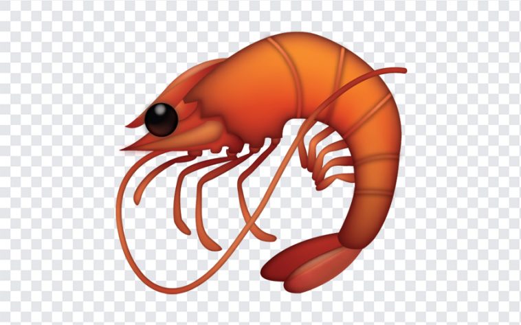 Shrimp Emoji, Shrimp, Shrimp Emoji PNG, iOS Emoji, iphone emoji, Emoji PNG, iOS Emoji PNG, Apple Emoji, Apple Emoji PNG, PNG, PNG Images, Transparent Files, png free, png file, Free PNG, png download,