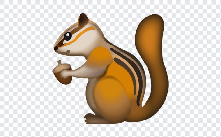 Squirrel Emoji, Squirrel, Squirrel Emoji PNG, iOS Emoji, iphone emoji, Emoji PNG, iOS Emoji PNG, Apple Emoji, Apple Emoji PNG, PNG, PNG Images, Transparent Files, png free, png file, Free PNG, png download,