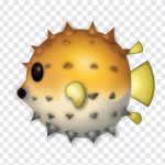Swellfish Emoji, Swellfish, Swellfish Emoji PNG, iOS Emoji, iphone emoji, Emoji PNG, iOS Emoji PNG, Apple Emoji, Apple Emoji PNG, PNG, PNG Images, Transparent Files, png free, png file, Free PNG, png download,